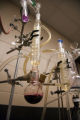 Katie Cook, Enology Project Leader doing sensory evaluation of Minnesota wines at the Horticultural Research Center.