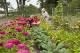 Biochar research, Julie Weisenhorn (horticulture) and Jason Hill (Bioproducts and Biosystems Engineering).