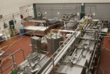 Making cheddar cheese in the Pilot Plant in the Food Science and Nutrition Building, St. Paul campus, University of MInnesota.