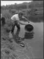 A person using a basket for fish stocking at Rock Pond on the UMD campus