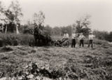 Cutting hay