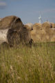 Biomass and wind power, alternative energy research at the University of Minnesota, West Central Research and Outreach Center, Morris.