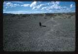 Millard County, West Utah