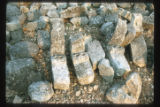 [Untitled]