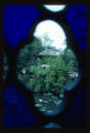 Garden of the humble administrator