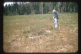Mendenhall Bog
