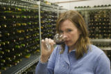 Katie Cook, Enology Project Leader doing sensory evaluation of Minnesota wines at the Horticultural Research Center.
