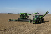 Harvesting soybeans on the Craven farm in Jackson County, Minnesota.