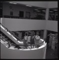 Three women's studies students walking up staircase in the UMD Library Annex