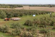 Apple Junction orchard in Washington County, Minnesota.