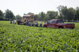 Soybean plots of University of Minnesota soybean researcher Seth Naeve for soybean production research.