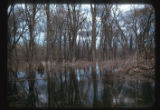Minnesota River valley at 9-mile creek