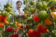 Evaluating pepper varieties for use in food safety and nutrition.