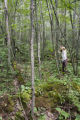 Site of a tornado approximately 25 years earlier, releasing the aspen.