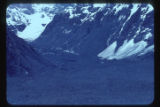 Mueller Glacier from point on its left lateral moraine.