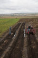 Potato breeding, harvest. University of Minnesota potato breeding plots at the Williston Research Extension Center in North Dakota.