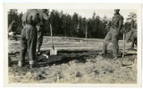CCC laborers preparing seed beds at Cloquet tree nursery (2 of 2)