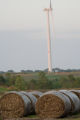 Biomass and wind power, alternative energy research at the University of Minnesota, West Central Research and Outreach Center, Morris.