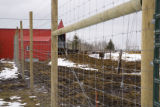 Bovine TB research and control in northern Minnesota, to prevent spread of disease between livestock (primarily cows) and wild deer.