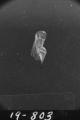 Flight 19 image 803
