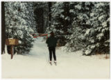 Beginning of self-guided forest tour with cross-country skis
