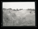 Sand dunes
