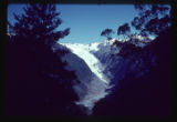 Glacier from track to Alex Knob near 3 mile post