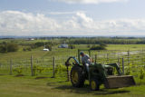 Tug Hill Vineyard, Lowville, New York.