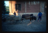 Near Stone Forest 70 miles south of Kunming. Agricultural village of minority Sani people.