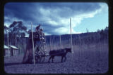 Setting strings for hops