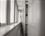 Student leaning against library window ledge
