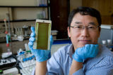 Enzyme engineering and nanotechnology. Research of biofuel biopolymers and specialty chemicals. Development of self-cleaning coatings.