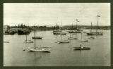 Harbor of Victoria