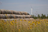 Biomass and wind power, alternative energy research at the University of Minnesota, West Central Research and Outreach Center, Morris.