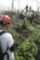Forestry researchers doing inventory of plants in burned area of Boundary Waters Canoe Area Wilderness a year after July, 2006, Cavity Lake Fire.