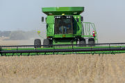 Harvesting soybeans on the Craven farm in Jackson County, Minnesota.