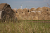 Biomass and wind power, alternative energy research at the University of Minnesota, West Central Research and Outreach Center, Morris.