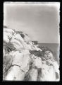 Double-crested Cormorant nest on Gull Rock