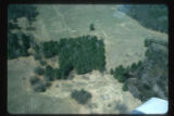 Aerial. Lundgren white pines