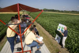 Soybean plots of University of Minnesota soybean researcher Seth Naeve for soybean production research.