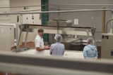 Making cheddar cheese in the Pilot Plant in the Food Science and Nutrition Building, St. Paul campus, University of MInnesota.