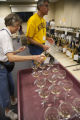 Second annual International Cold Climate Wine Competition. St. Paul, Minnesota.