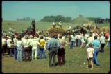 Old threshers demonstration.