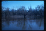 Mississippi River Floodplain at high water at Logan Avenue North and West River Road North