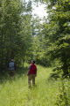 Forestry professor Tom Burk (red vest) and consulting forester on private woodland in Crow Wing County, Minnesota.