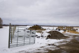 Bovine TB research and control in northern Minnesota, to prevent spread of disease between livestock (primarily cows) and wild deer.