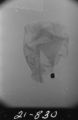 Flight 21 image 830