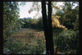 Tusler Bog, Hardscrabble Point, Lake Minnetonka