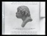 Piltdown head, side, restoration, image of a sculpture from a printed publication
