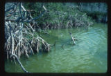 Everglades National Park